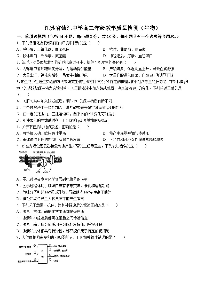 江苏省镇江中学2023-2024学年高二上学期10月月考生物试卷(无答案)01