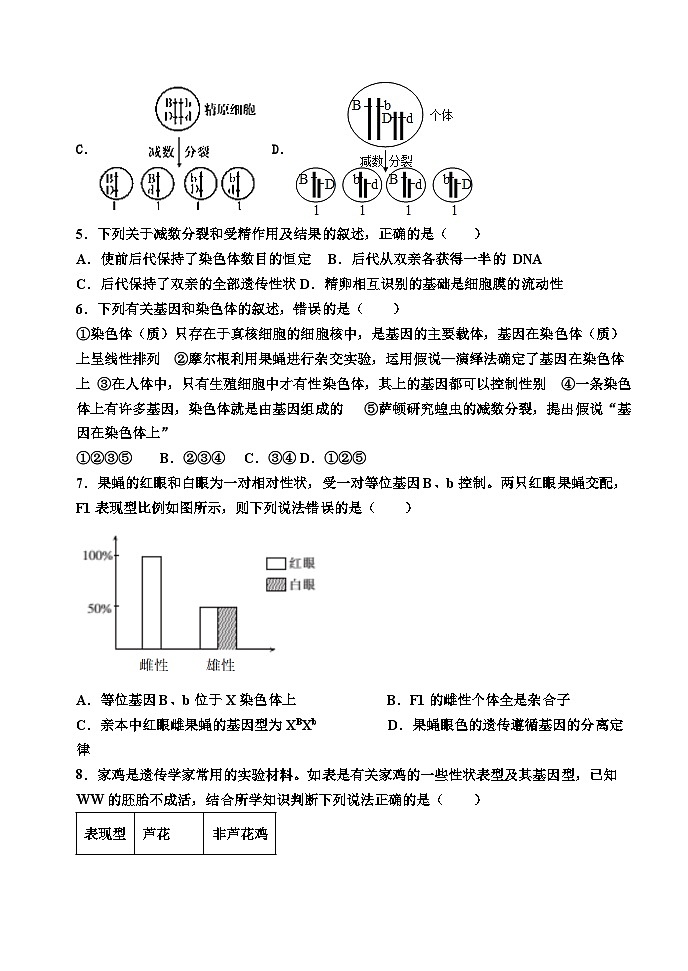 广东省广州市第八十九中学2023-2024学年高一下学期期中考试生物试题02