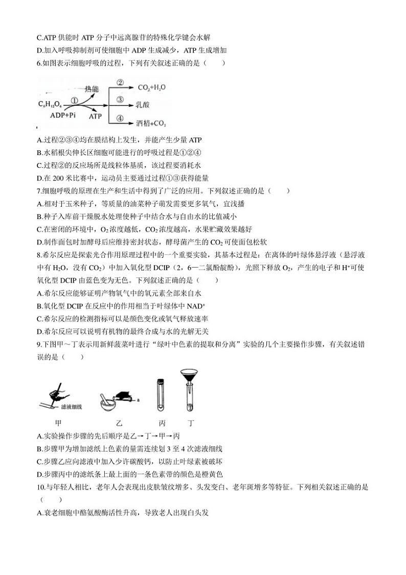 [生物]福建省百校2024～2025学年高三上学期10月测评试题(有解析)第2页
