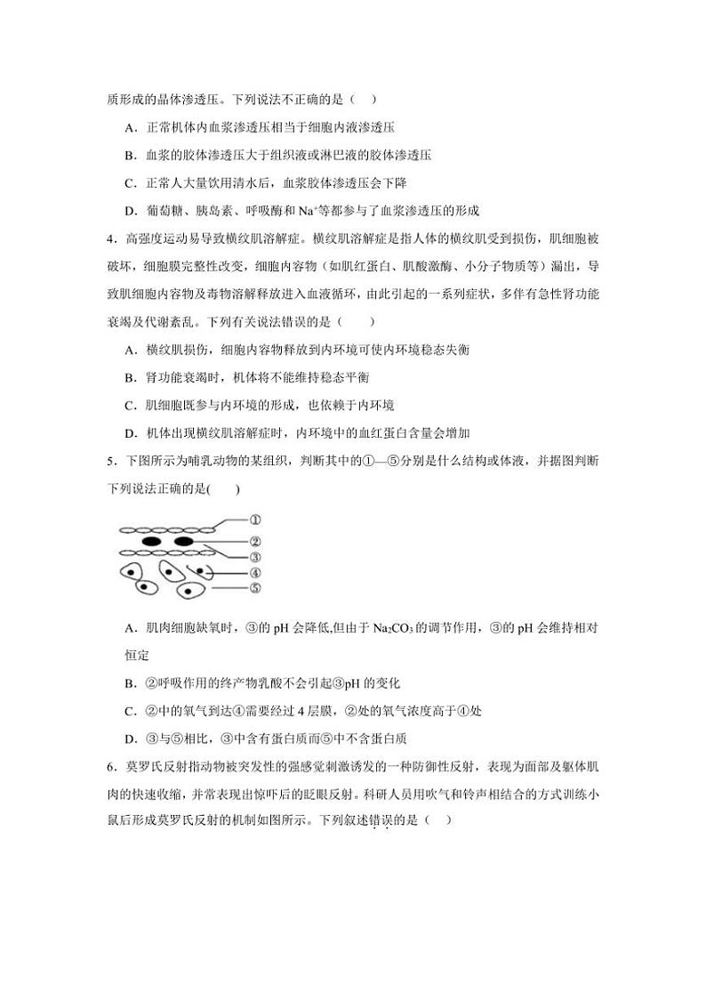 [生物]安徽省亳州市亳州市高二上第一次月考2024～2025学年高二上学期10月月考试题(有解析)第2页