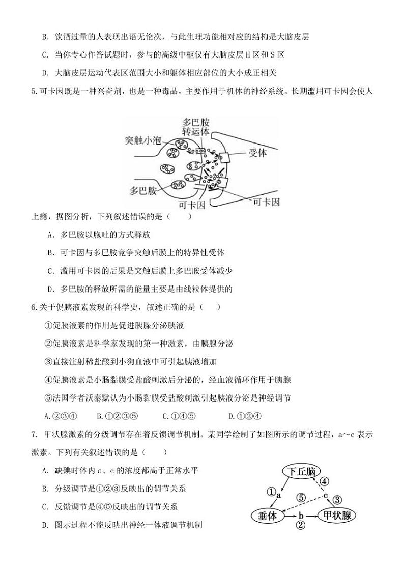 [生物][期中]河北省保定市唐县河北省唐县第一中学2024～2025学年高二上学期10月期中试题(有答案)02
