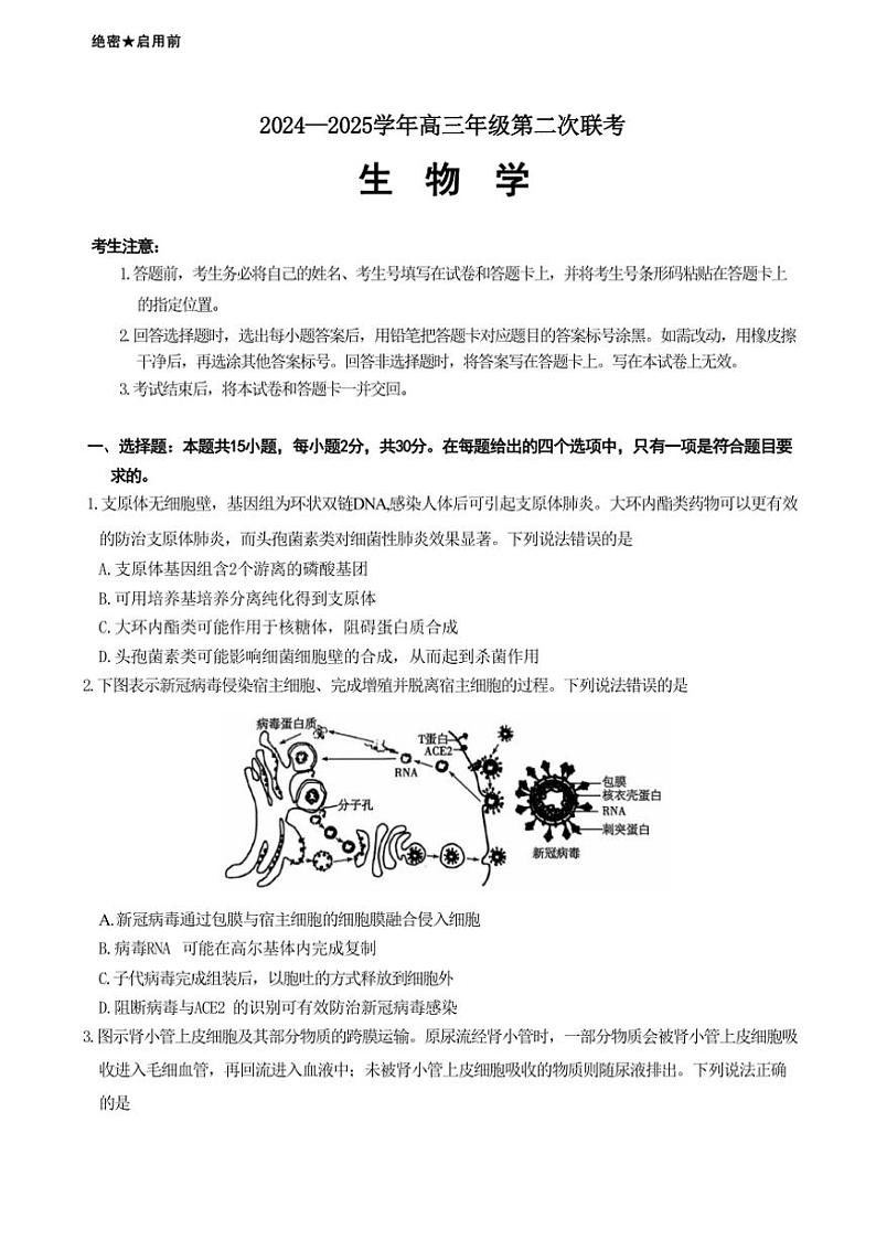 [生物]山东省潍坊市大联考2024～2025学年高三上学期10月月考试题(有答案)第1页