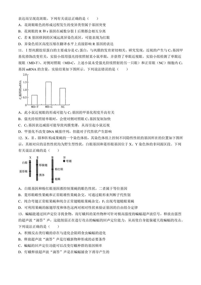 [生物]河南省部分名校2024～2025学年高三上学期10月阶段性检测二试题(有答案)03