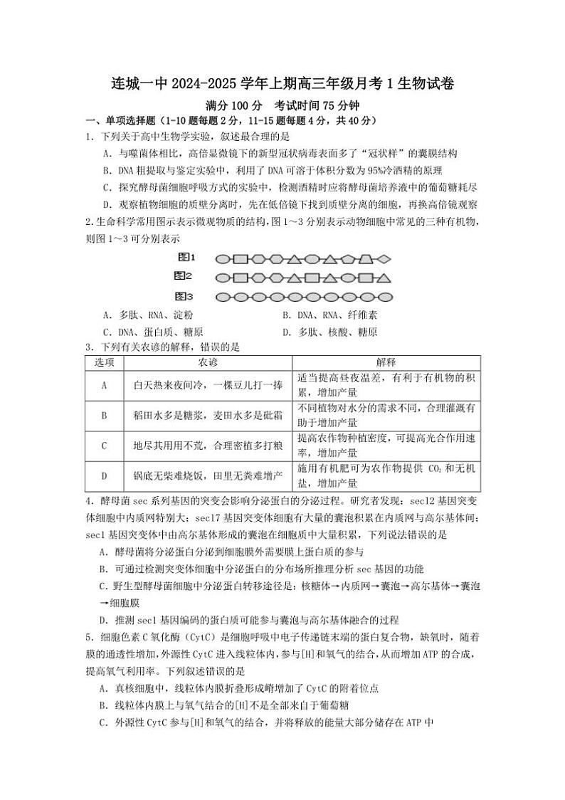 [生物]福建省龙岩市连城县第一中学2024～2025学年高三上学期10月月考试题(有答案)01