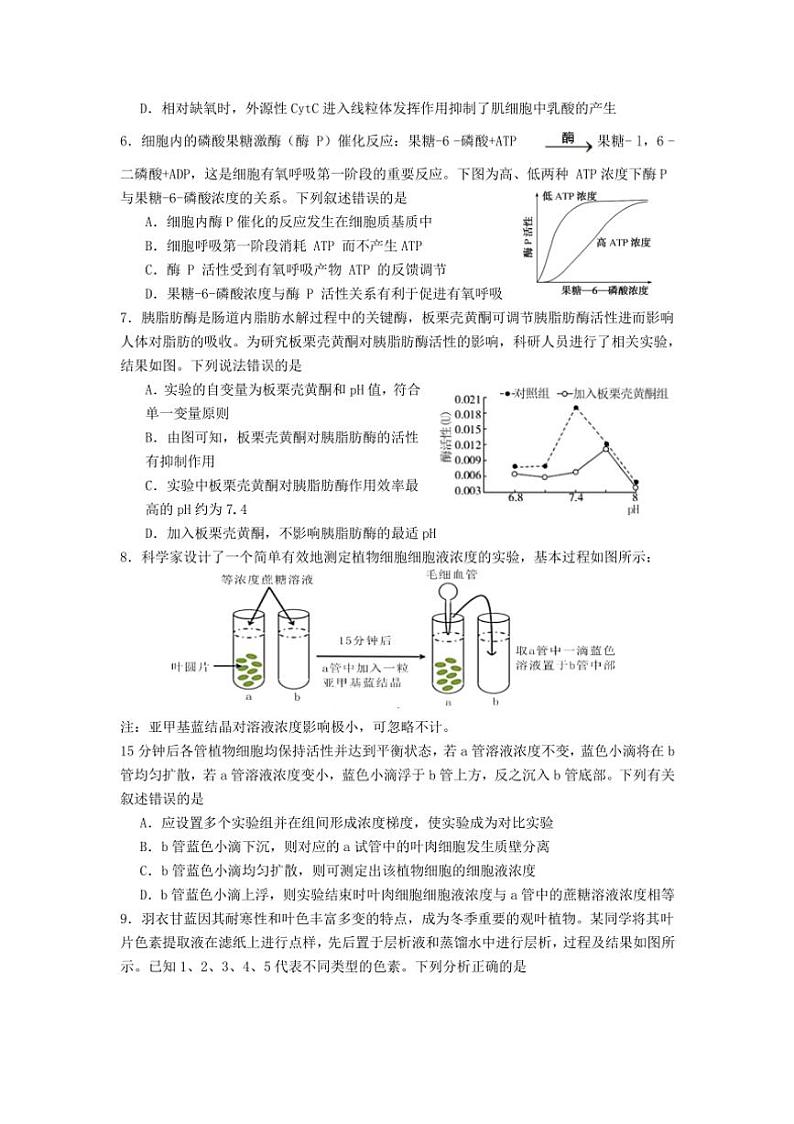 [生物]福建省龙岩市连城县第一中学2024～2025学年高三上学期10月月考试题(有答案)02