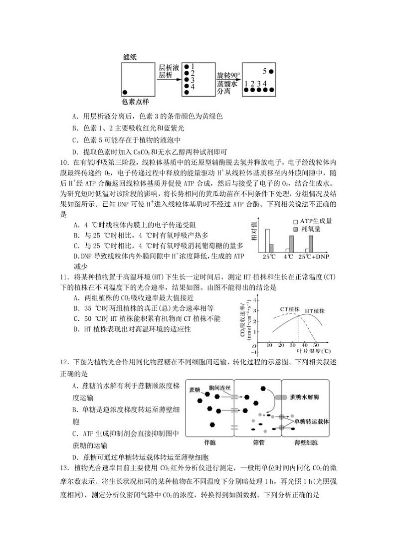 [生物]福建省龙岩市连城县第一中学2024～2025学年高三上学期10月月考试题(有答案)03