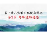1.2 内环境的稳态（教学课件）-高中生物人教版（2019）选择性必修一