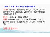 1.2 内环境的稳态（教学课件）-高中生物人教版（2019）选择性必修一