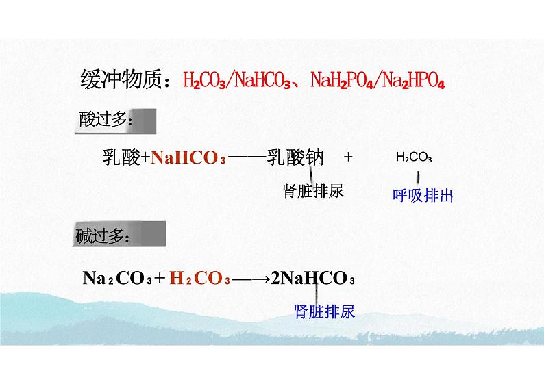 1.2 内环境的稳态（教学课件）-高中生物人教版（2019）选择性必修一第8页