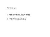 1.2 内环境的稳态（教学课件）-高中生物人教版（2019）选择性必修1