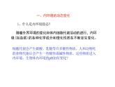 1.2 内环境的稳态（教学课件）-高中生物人教版（2019）选择性必修1