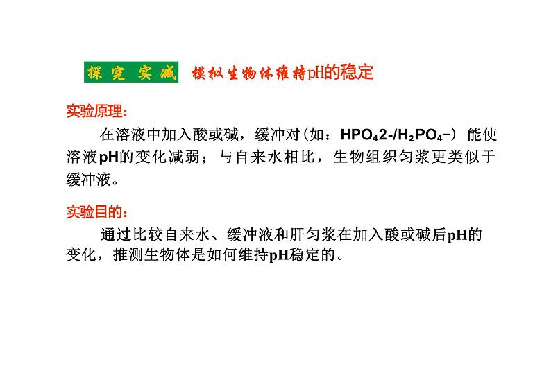 1.2 内环境的稳态（教学课件）-高中生物人教版（2019）选择性必修1第5页