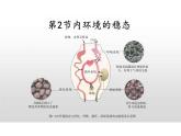 1.2 内环境的稳态（教学课件）-高中生物 人教版（2019）选择性必修一