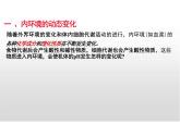 1.2 内环境的稳态（教学课件）-高中生物 人教版（2019）选择性必修一