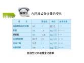 1.2 内环境的稳态（教学课件）高中生物人教版（2019）选择性必修1