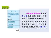 1.2 内环境的稳态（教学课件）高中生物人教版（2019）选择性必修1
