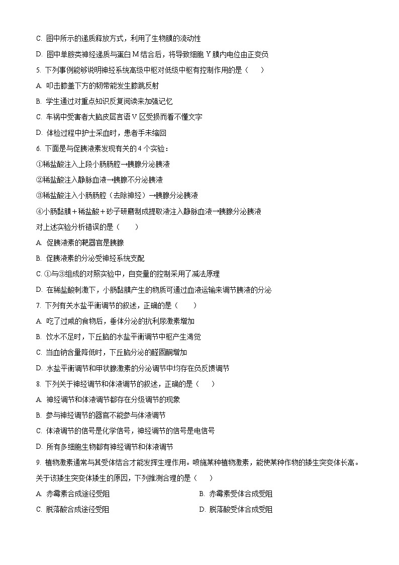 福建省泉州科技中学2023-2024学年高二上学期期中生物试题  Word版无答案第2页