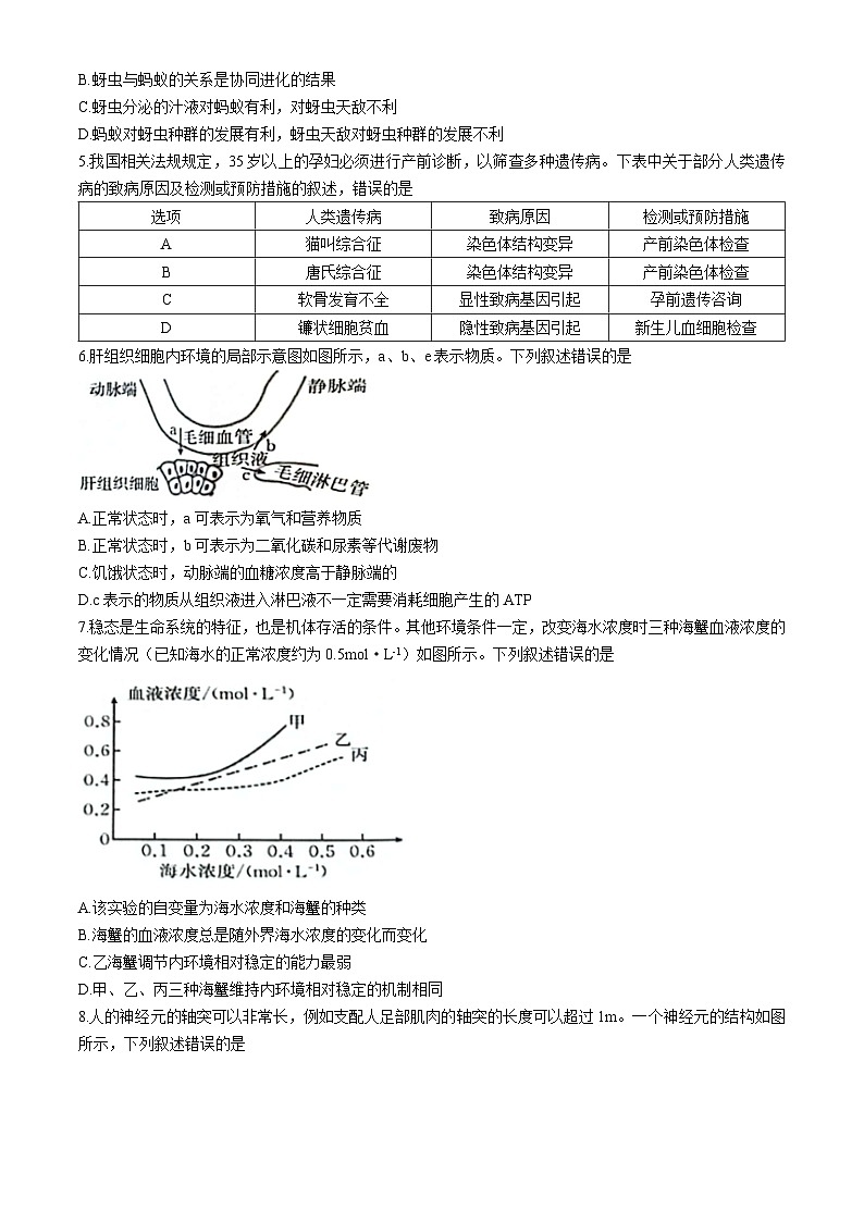江西省新余市第一中学等多校联考2024-2025学年高二上学期10月月考生物试题(无答案)第2页