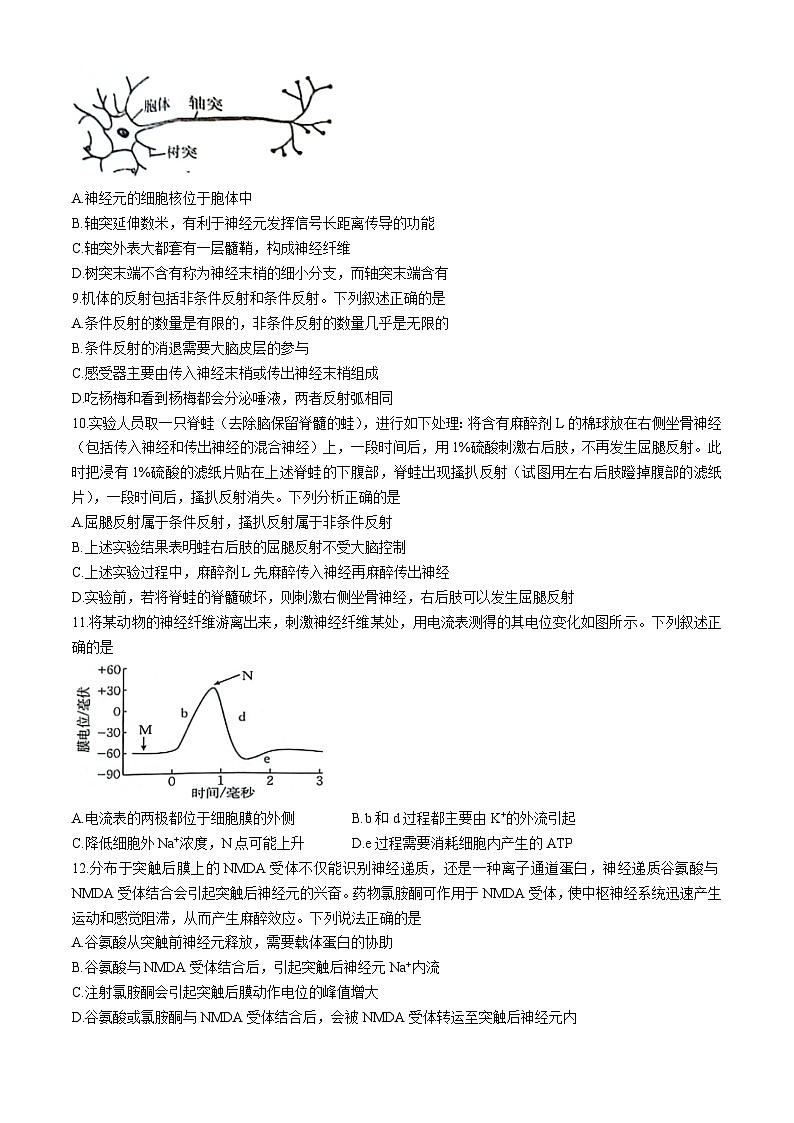 江西省新余市第一中学等多校联考2024-2025学年高二上学期10月月考生物试题(无答案)第3页