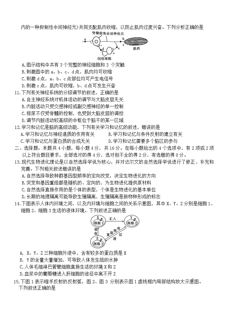 江西省赣州市2024-2025学年高二上学期10月检测生物试卷第3页