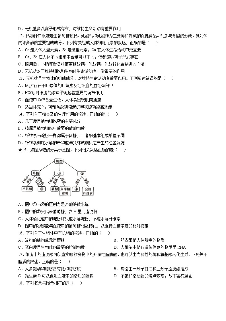 湖南省长沙市雅礼中学2024-2025学年高一上学期第一次月考生物试题(无答案)第3页