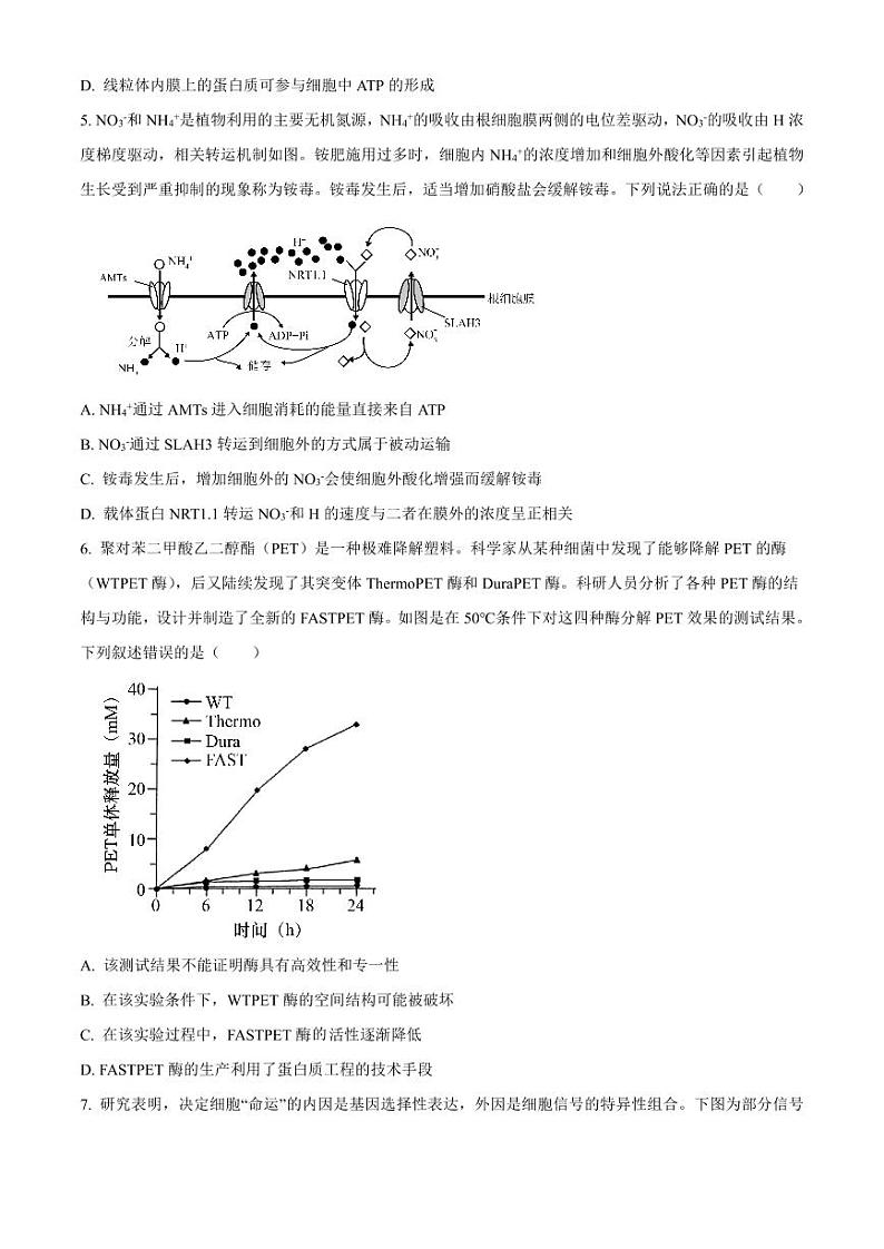生物-四川省成都列五中学2024-2025学年高三上学期9月月考试题和答案02