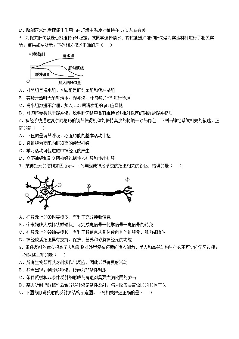 河北省邢台市临西县翰林中学等校2024-2025学年高二上学期第一次月考生物试题第2页