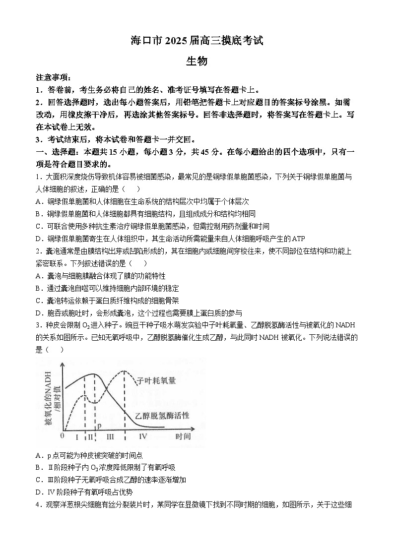 海南省海口市2024-2025学年高三上学期10月摸底考试生物试题(无答案)第1页