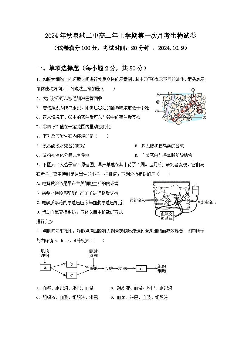 福建省泉州市泉港区第二中学2024-2025学年高二上学期10月月考生物试题01