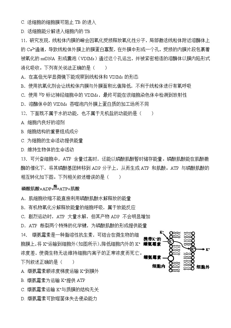 安徽省阜阳市临泉县安徽省临泉田家炳实验中学2024-2025学年高三上学期10月月考生物试题第3页