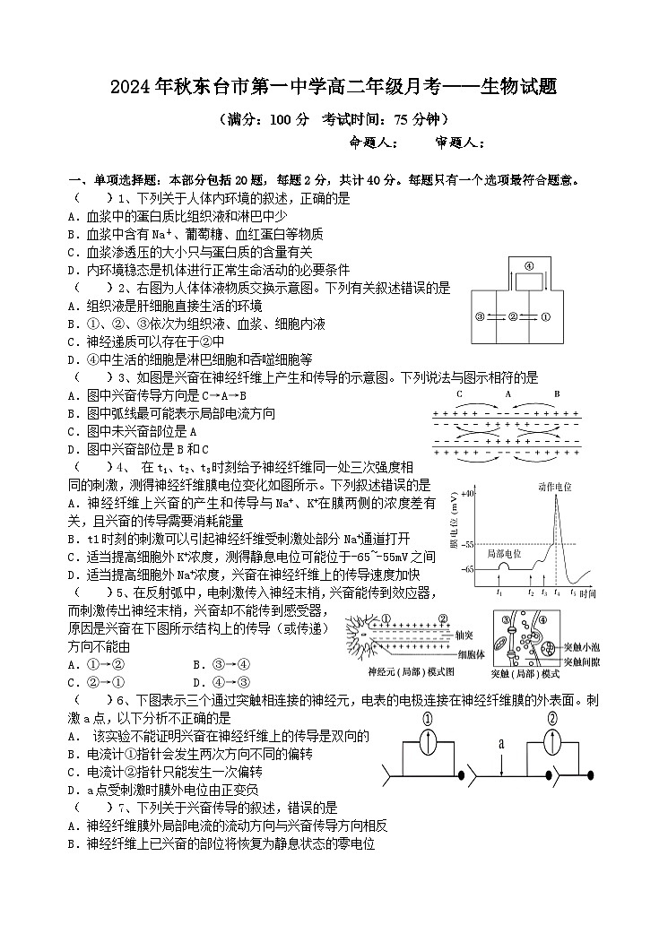 江苏省东台市第一中学2024-2025学年高二上学期10月月考生物试题第1页