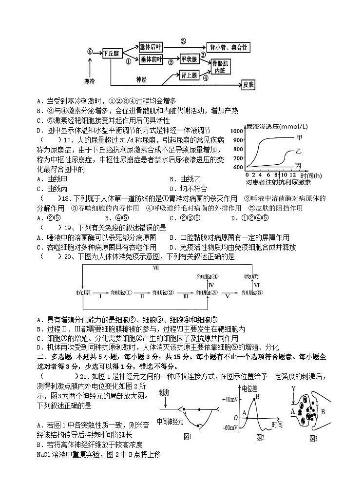 江苏省东台市第一中学2024-2025学年高二上学期10月月考生物试题第3页