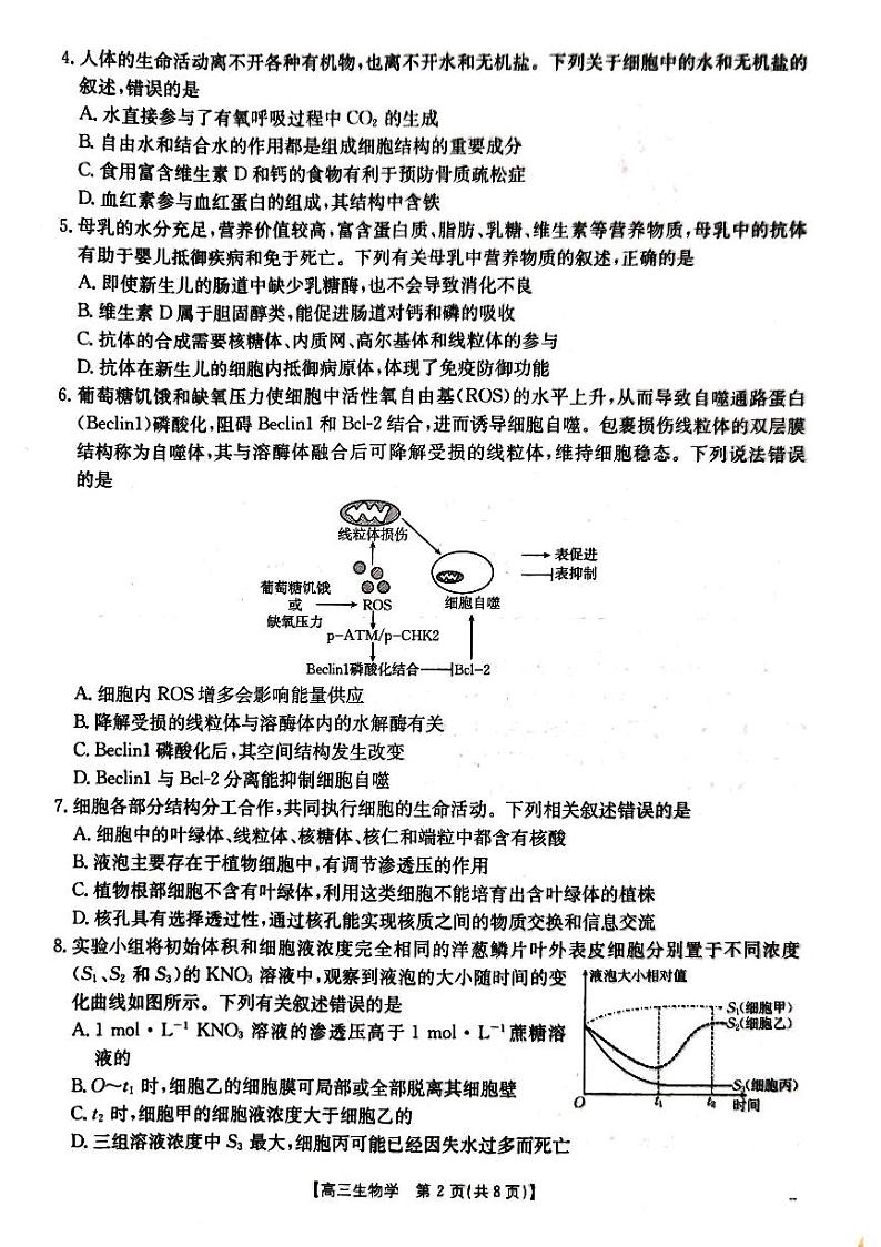 湖北省金太阳百校大联考2024-2025学年高三上学期10月联考生物试题第2页