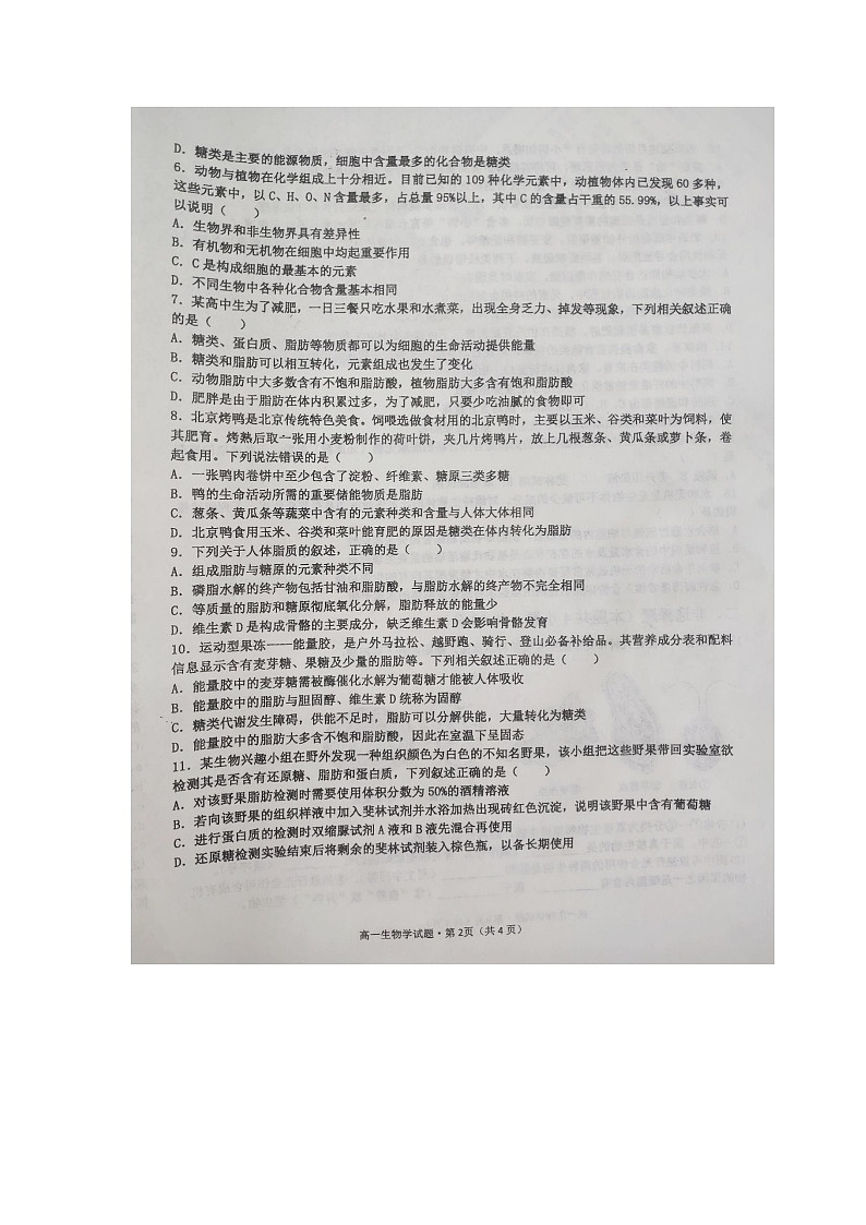 广西壮族自治区南宁市沛鸿民族中学2024-2025学年高一上学期10月月考生物试题第2页