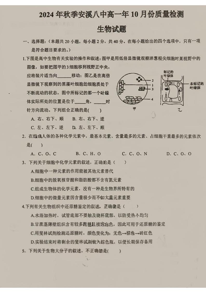 福建省安溪第八中学2024-2025学年高一上学期10月月考生物试题第1页