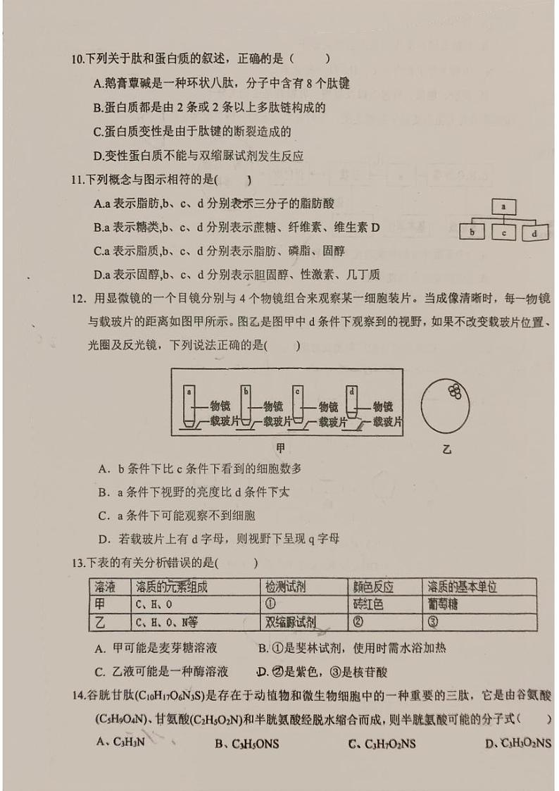 福建省安溪第八中学2024-2025学年高一上学期10月月考生物试题第3页