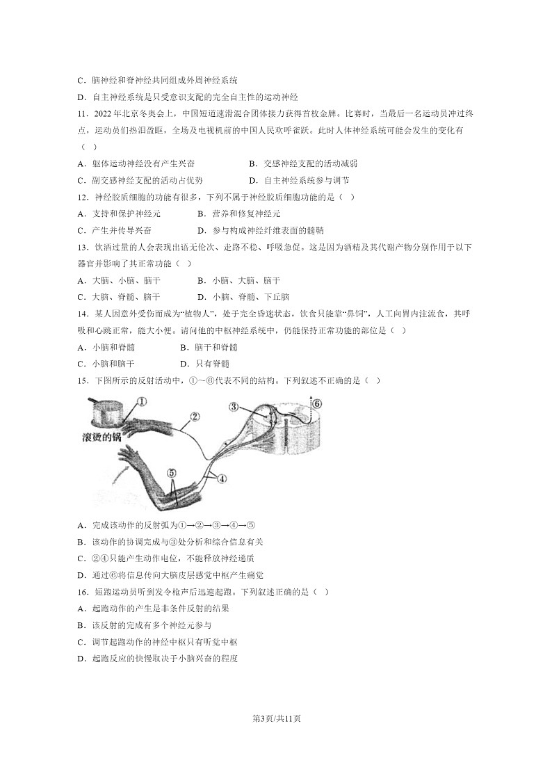 [生物]2024北京理工大附中高二上学期10月月考试卷第3页