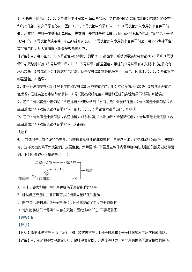 湖北省黄冈市黄梅县育才高级中学2024-2025学年高三上学期9月月考生物试题  Word版含解析第3页