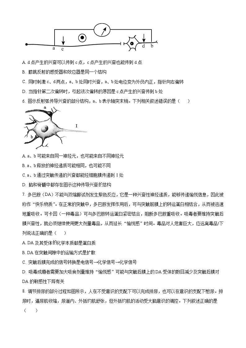 湖北省武汉市第十一中学2024-2025学年高二上学期10月月考生物试题（Word版附解析）02