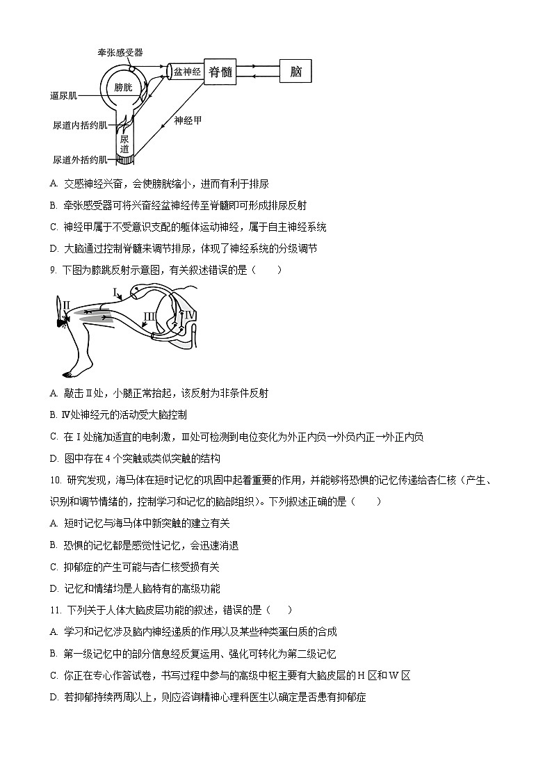 湖北省武汉市第十一中学2024-2025学年高二上学期10月月考生物试题（Word版附解析）03