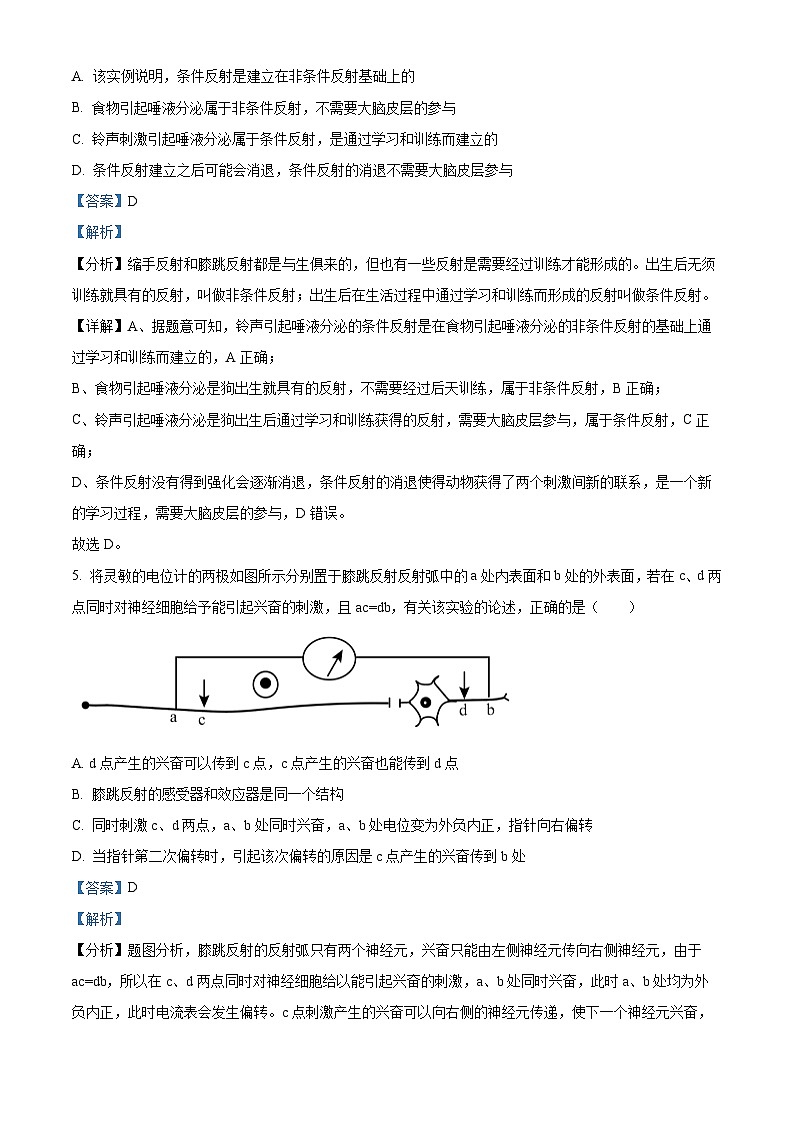 湖北省武汉市第十一中学2024-2025学年高二上学期10月月考生物试题（Word版附解析）03