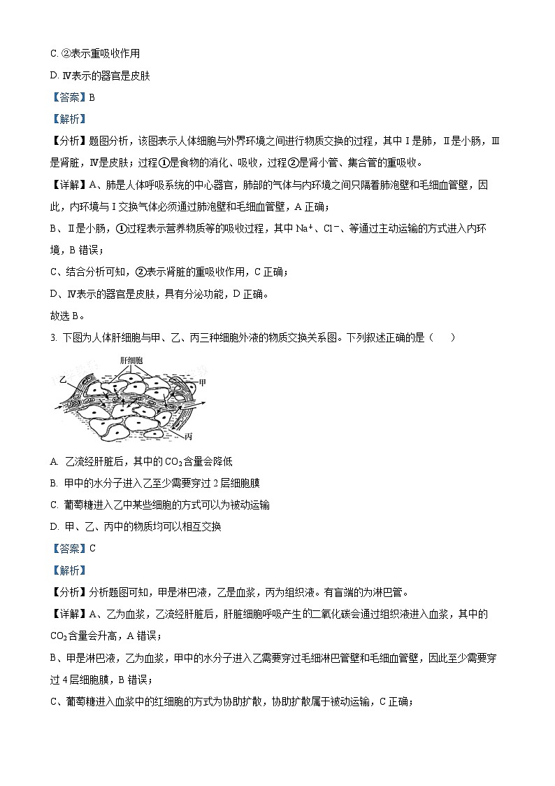 湖南省长沙市长郡中学2024—2025学年高二上学期第一次考试生物试题 Word版含解析第2页