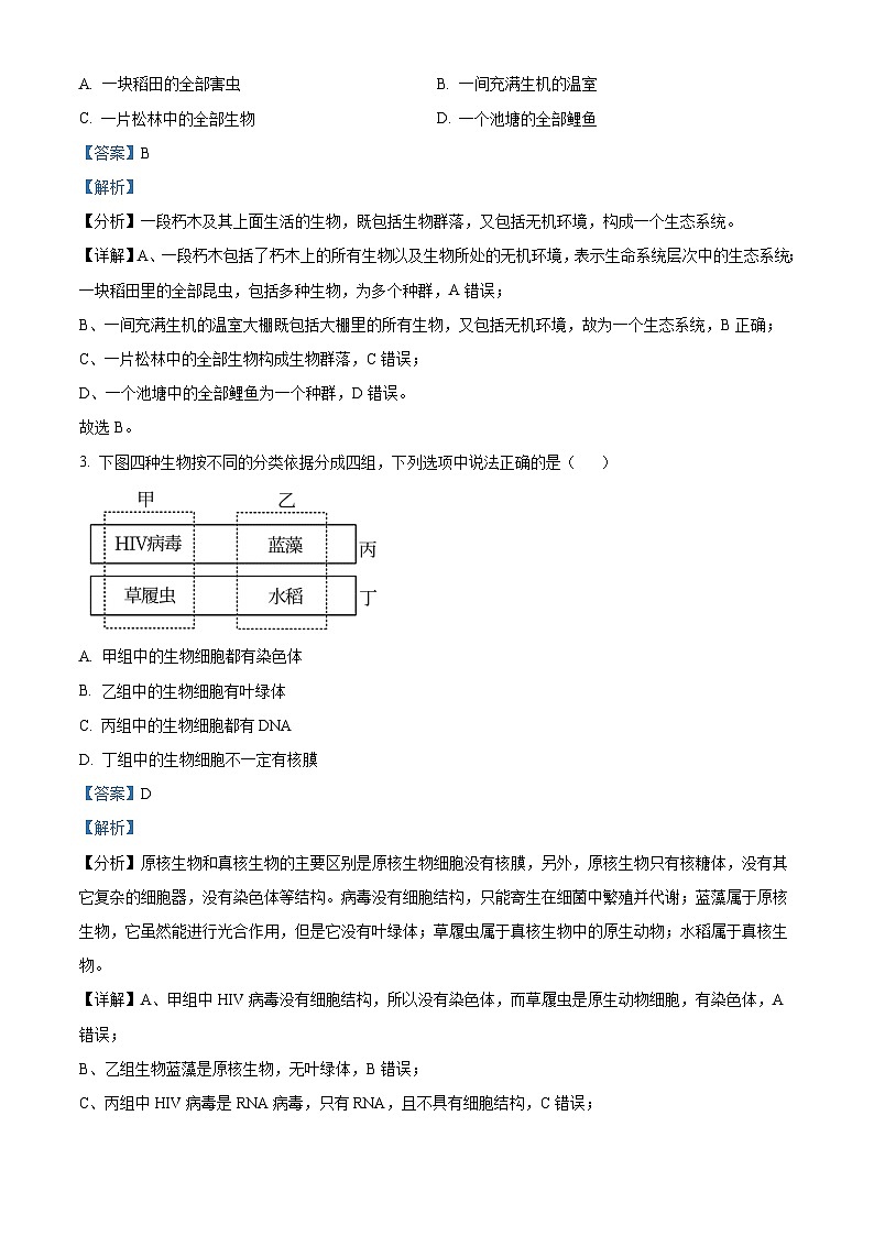 湖南省长沙市周南中学2024-2025学年高一上学期10月月考生物试题（Word版附解析）02