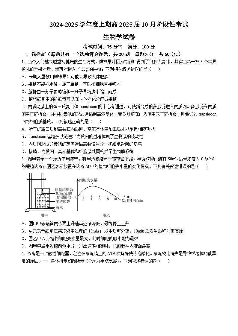 四川省成都市第七中学2024-2025学年高三上学期10月月考生物试题（Word版附答案）01