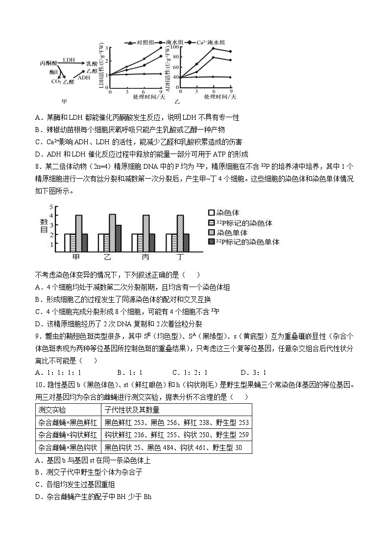 四川省成都市第七中学2024-2025学年高三上学期10月月考生物试题（Word版附答案）03