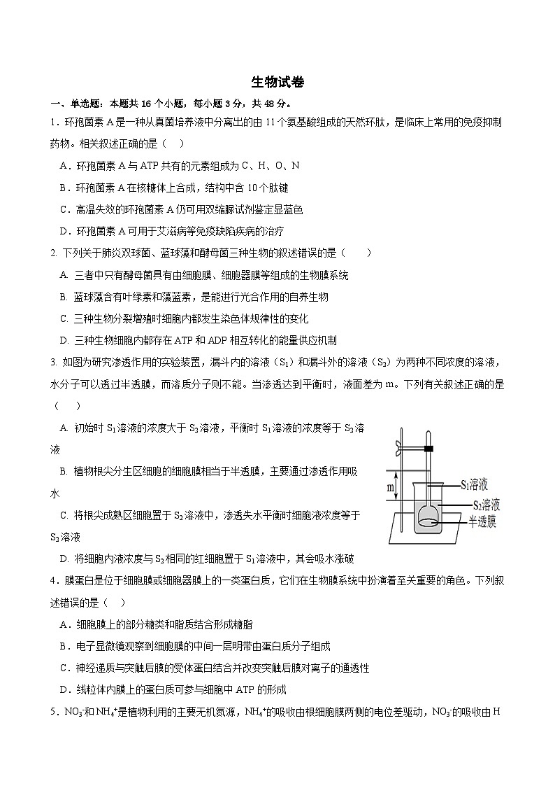 四川省成都市列五中学2024-2025学年高三上学期9月月考生物试题（Word版附答案）01
