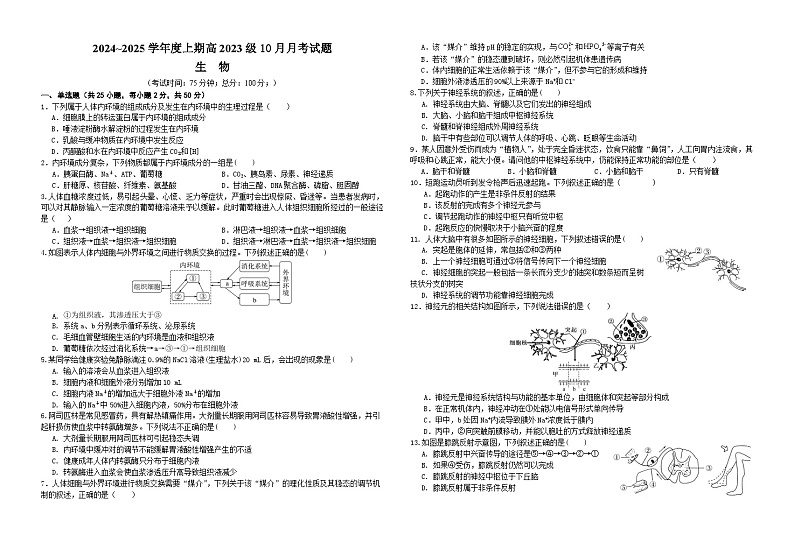 四川省成都市新津中学2024-2025学年高二上学期10月月考生物试题（Word版附答案）01
