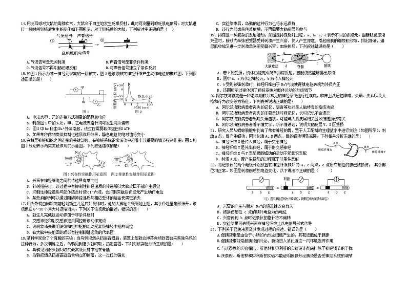 四川省成都市新津中学2024-2025学年高二上学期10月月考生物试题（Word版附答案）02