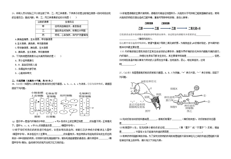 四川省成都市新津中学2024-2025学年高二上学期10月月考生物试题（Word版附答案）03