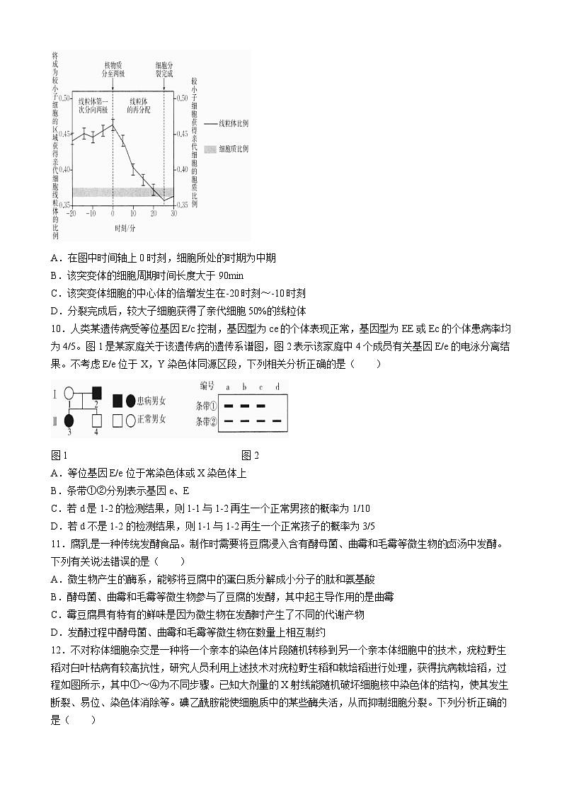 四川省达州市达州市高级中学2024-2025学年高三上学期10月月考生物试题（Word版附解析）第3页
